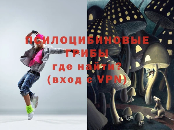 apvp Медвежьегорск