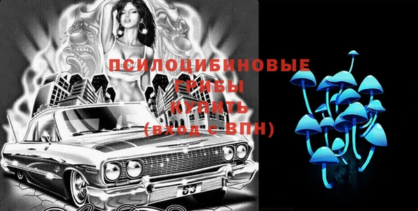 apvp Медвежьегорск