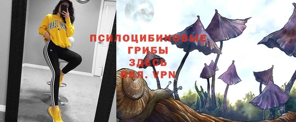 спиды Медногорск